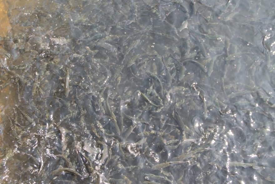 IMG 1501 05 09 19 04 44