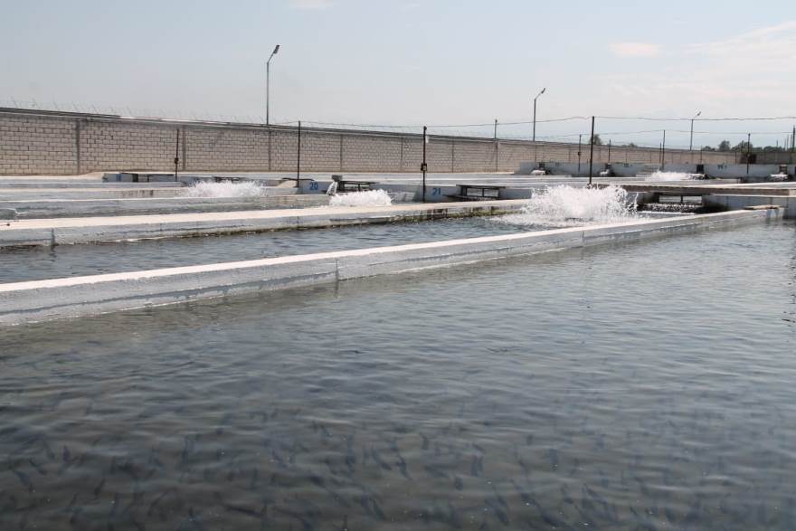 IMG 1522 05 09 19 04 44